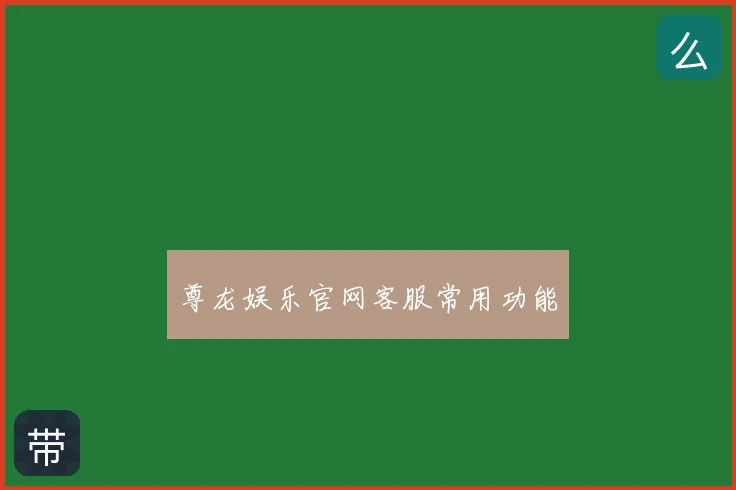 尊龙娱乐官网客服常用功能