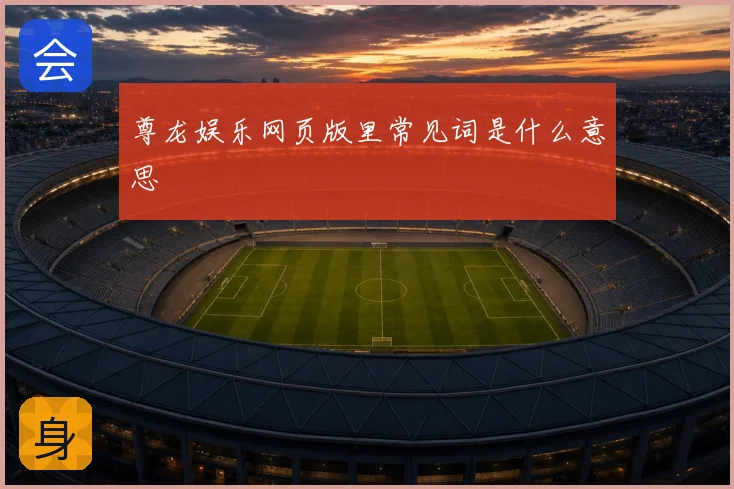 尊龙娱乐网页版里常见词是什么意思